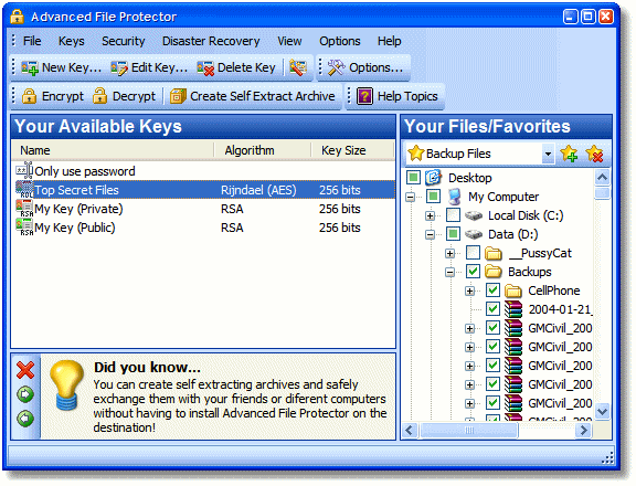 Advanced File Protector Screenshot